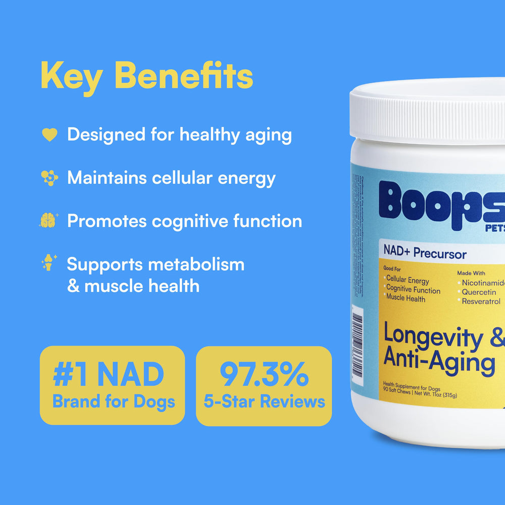 Boops Pets NAD+ precursor soft chews closeup reveals natural pasture-raised chicken flavor.