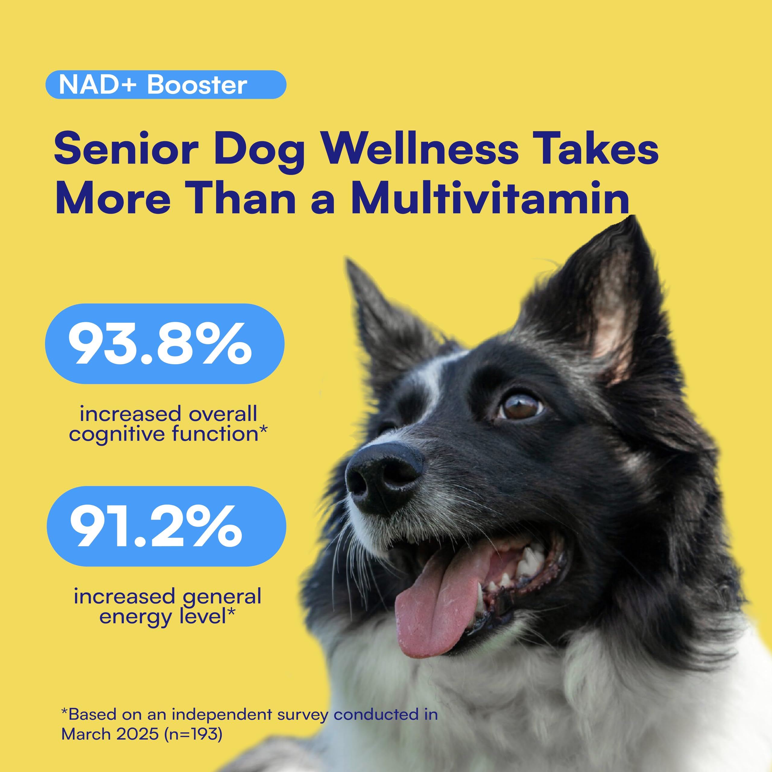 Boops Pets NAD+ precursor soft chews being poured highlights easy daily longevity support for dogs.