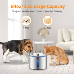 BOORCA Cat Water Fountain stainless steel close-up shows hygienic surface.