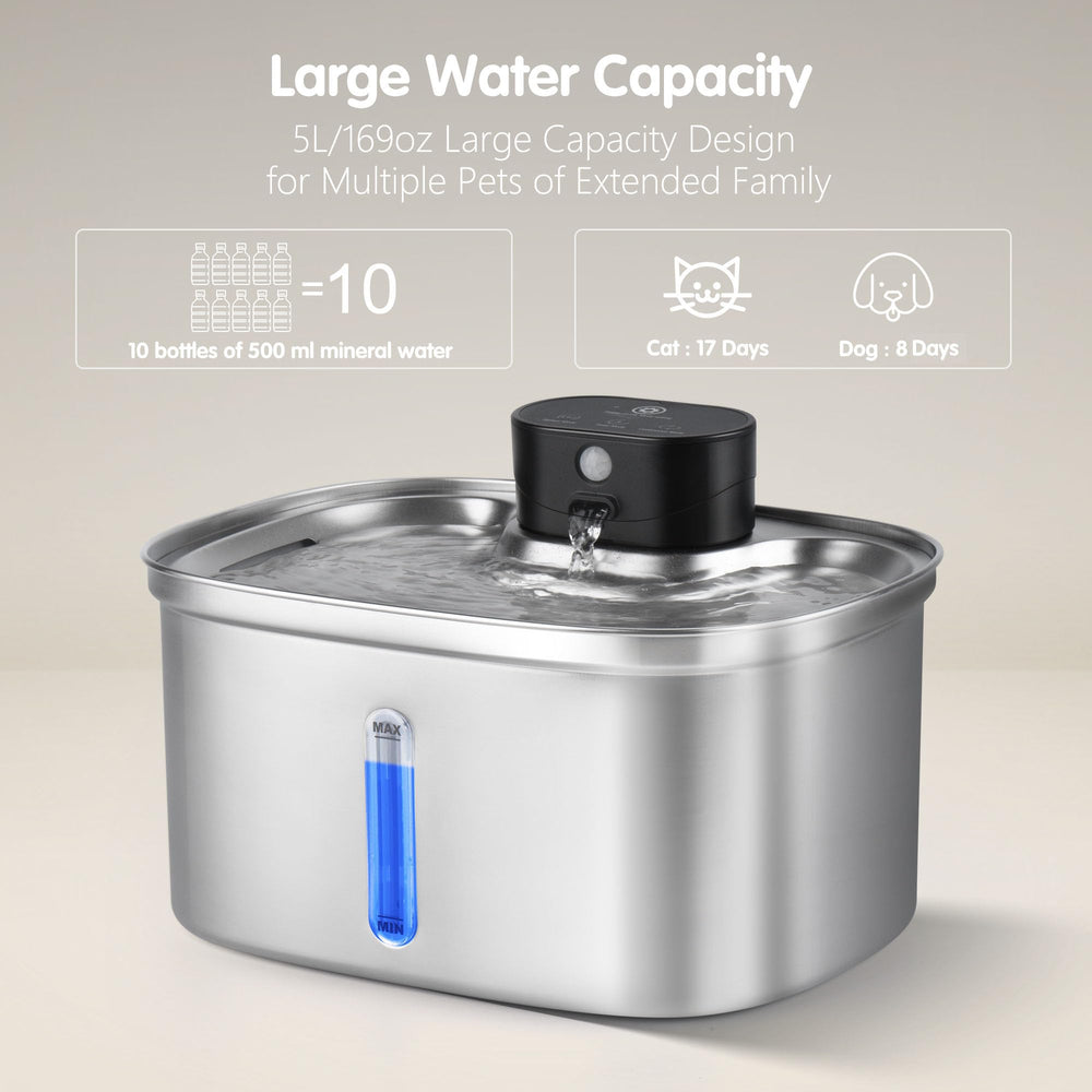 BOORCA ultra-quiet pump ensures peaceful surroundings during pet hydration