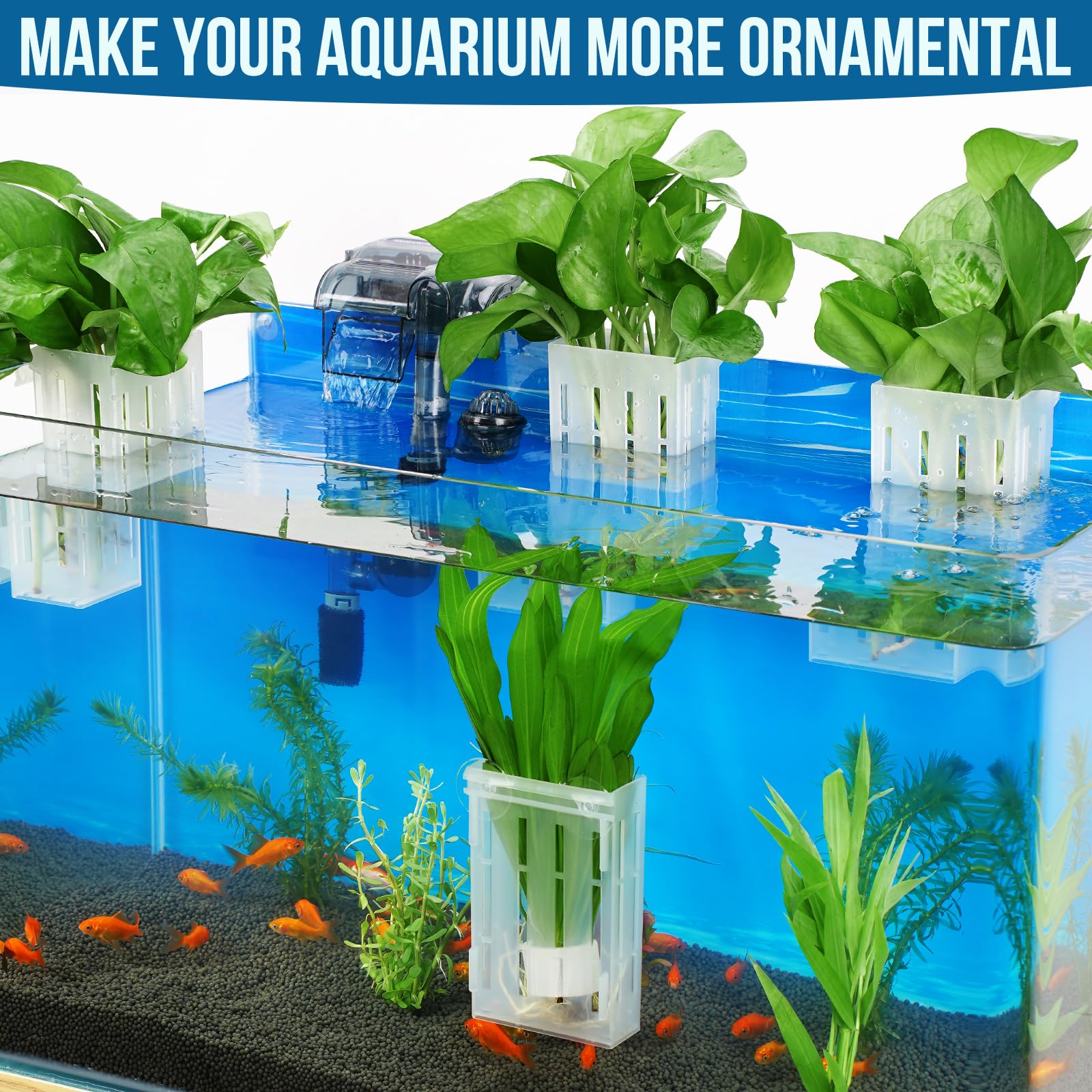Borlech compatible with pothos, bamboo, lotus and other aquatic plants.