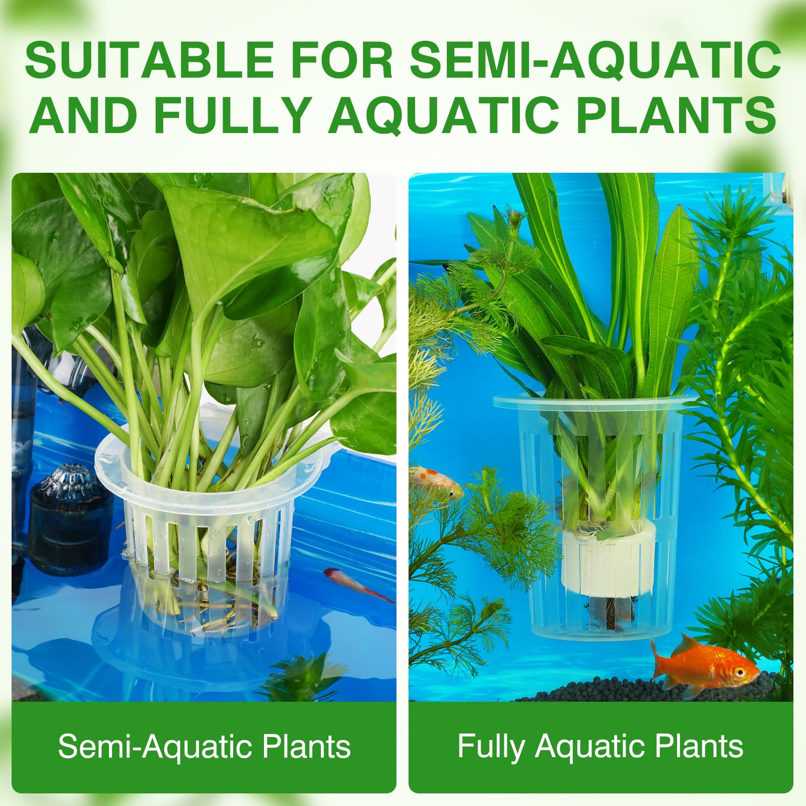 Borlech aquarium plant holder includes six hooks in three sizes for versatility.