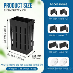 Borlech plant holder slots and holes design promotes root water flow