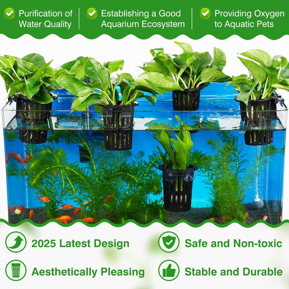 Borlech plant holder with suction cups for secure tank mounting