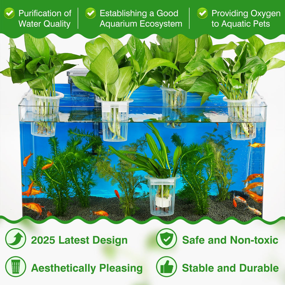 Borlech aquarium plant holder with suction cups for secure mounting on tank glass.