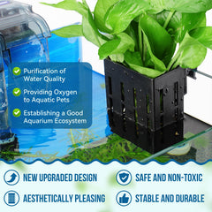 Borlech plant holder with suction cups keeps plants secure in tank