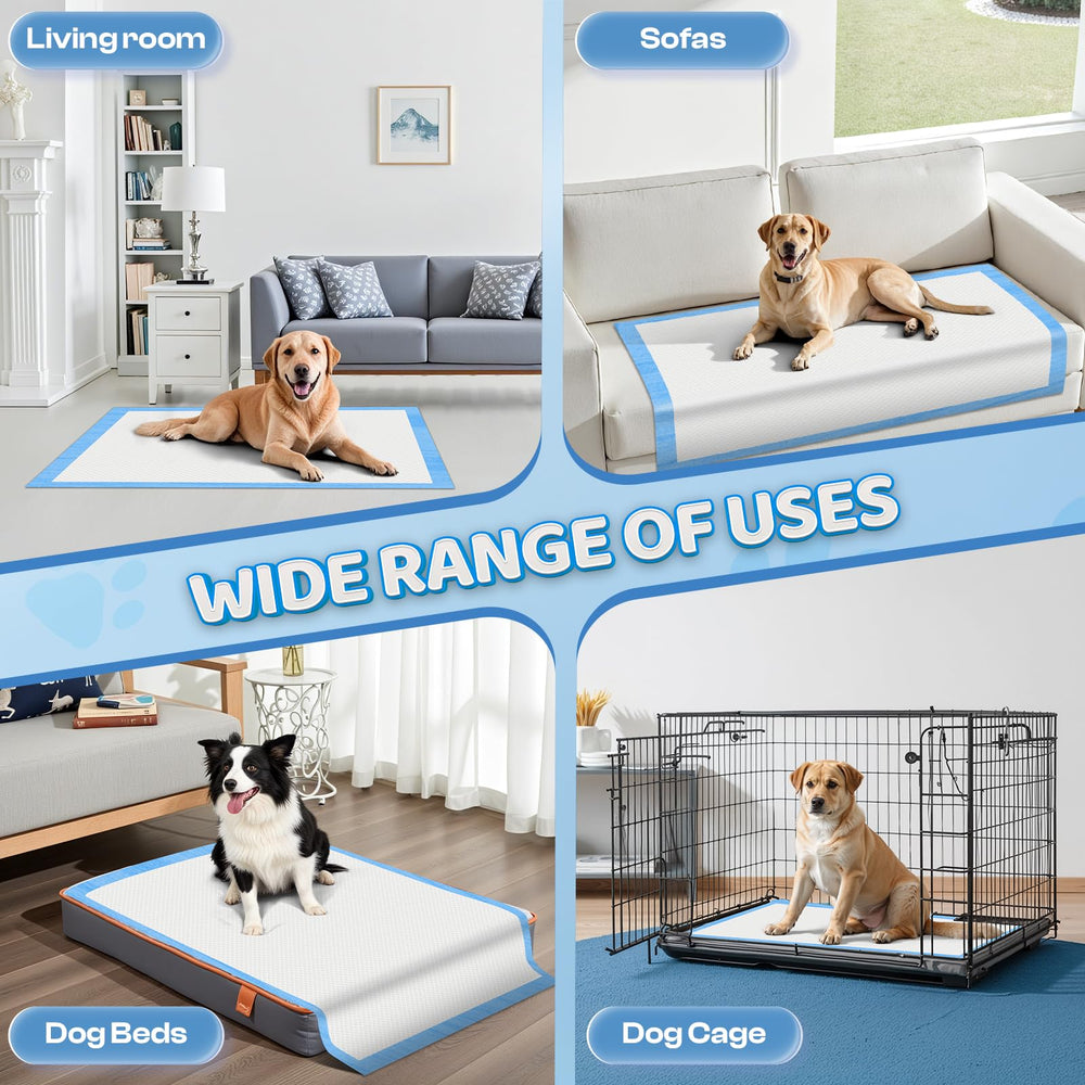 Boscute all-in-one potty solution for home protection and mess-free spaces.