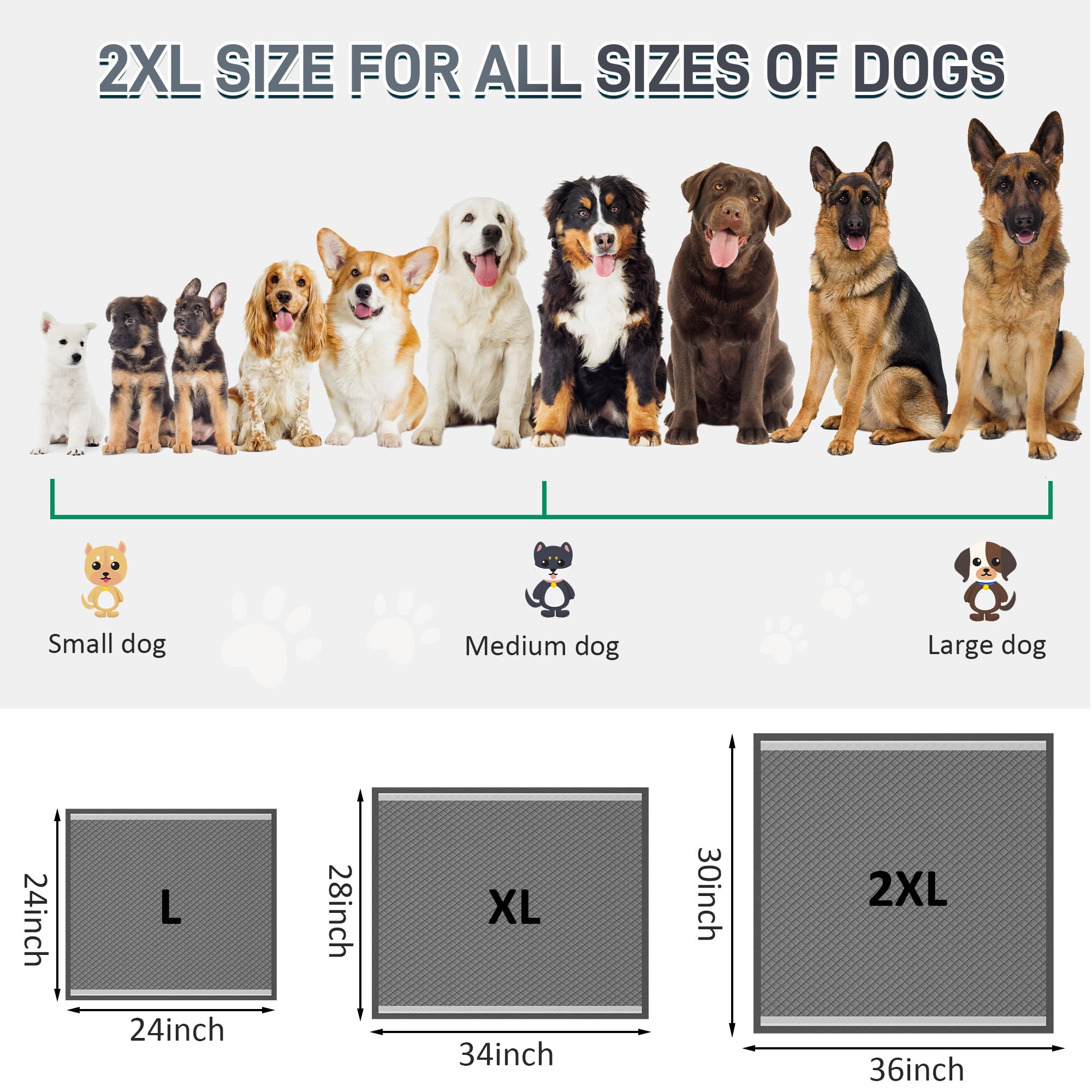 Boscute pads suited for travel, cars, whelping, and multi-pet homes.