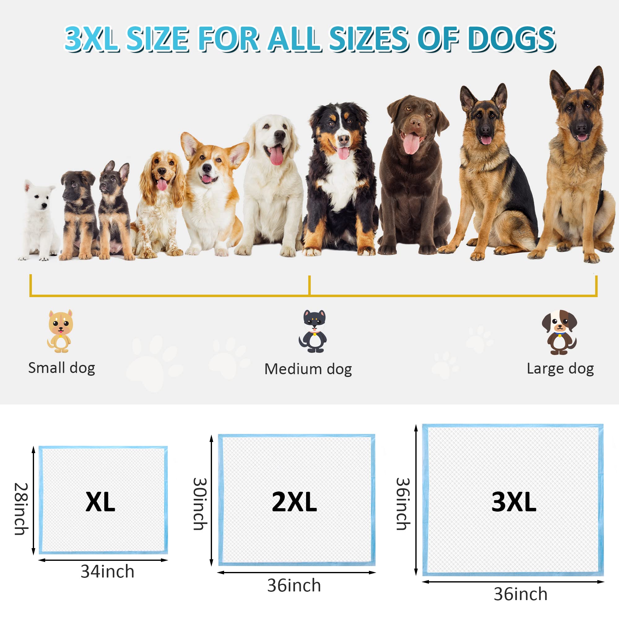 Boscute versatile pads support puppies and aging pets at home.