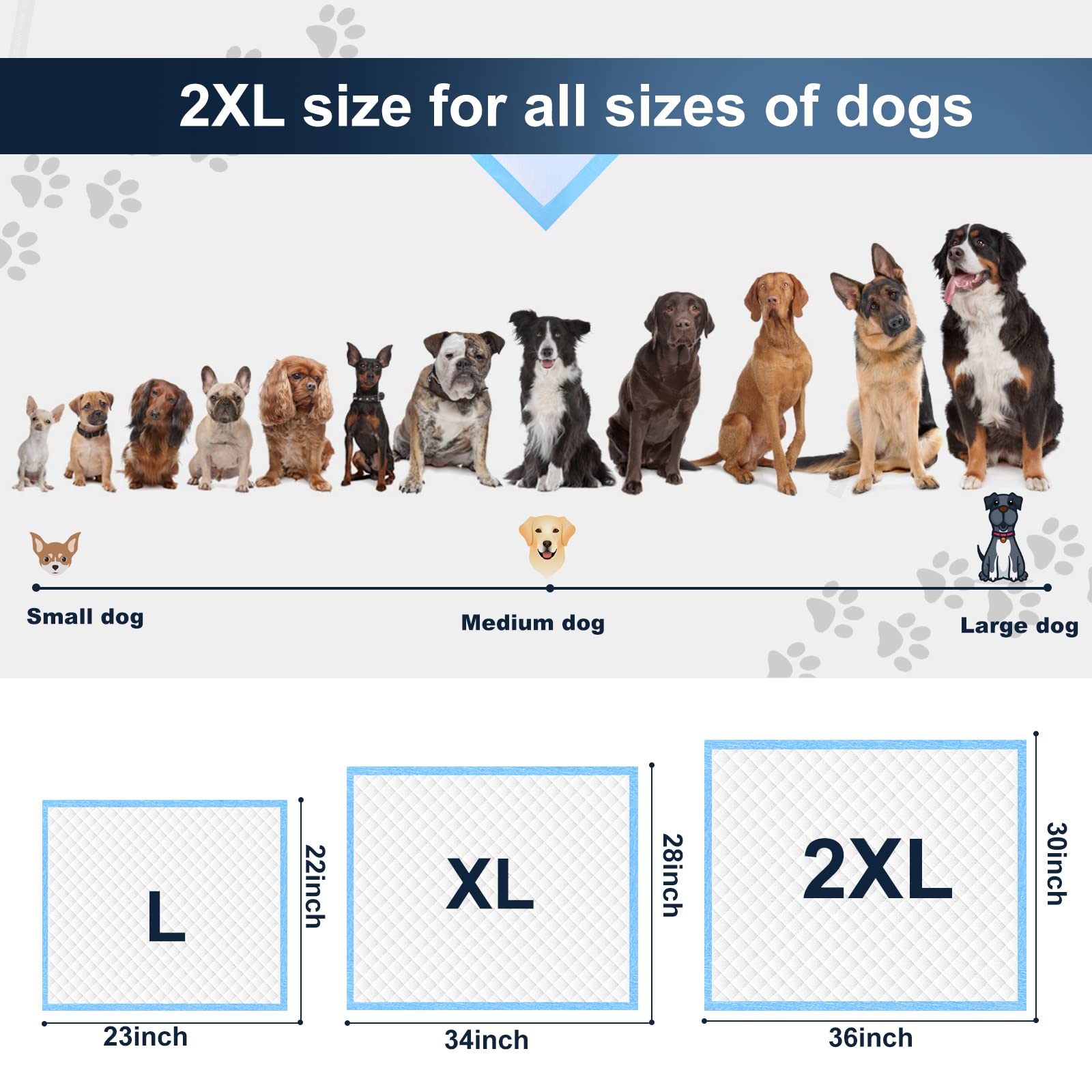 Boscute XXL puppy-training use demonstrates reliable potty-training support