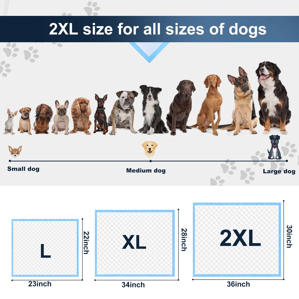 Boscute XXL puppy-training use demonstrates reliable potty-training support