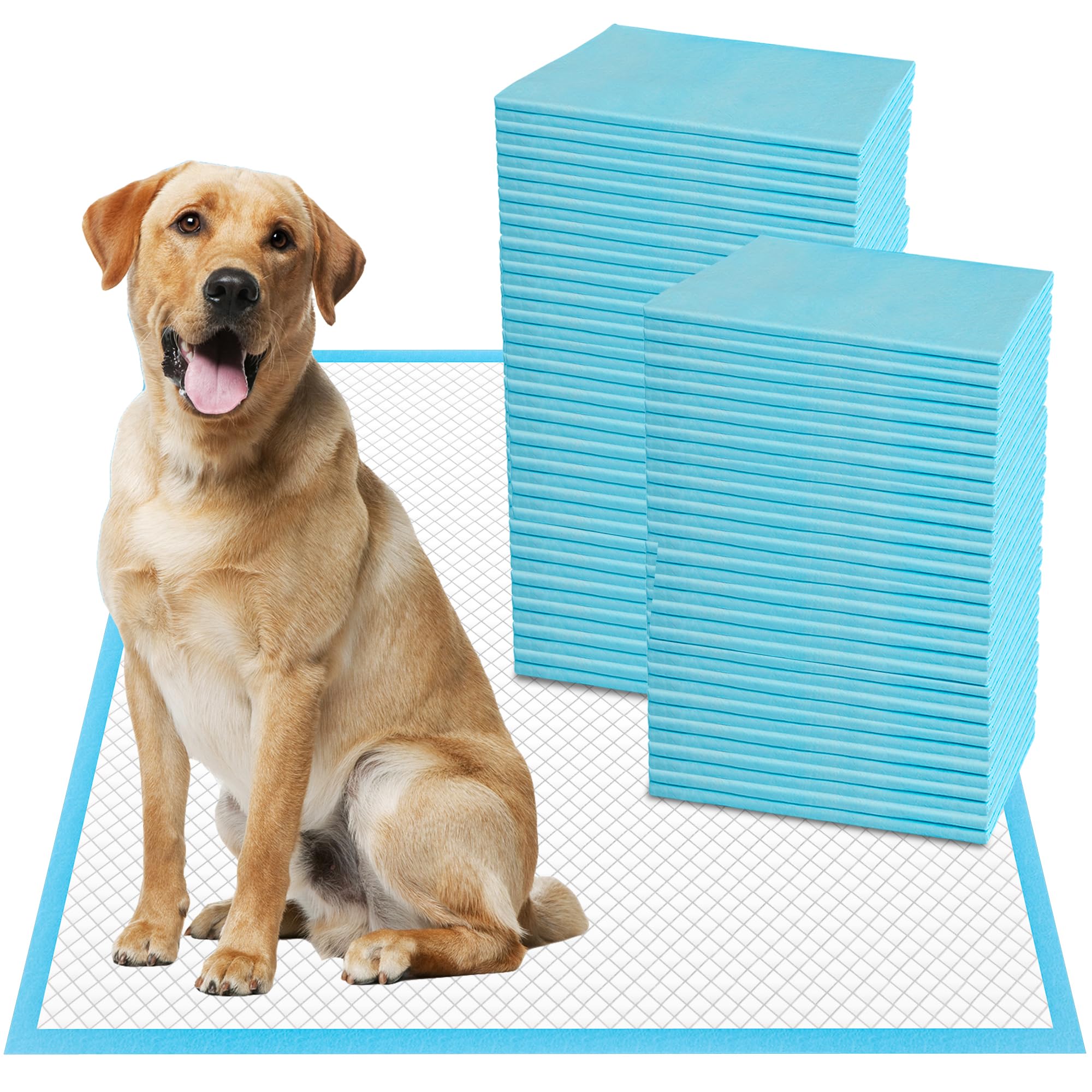 Boscute XXL packaging displays thick six-layer pads for reliable protection