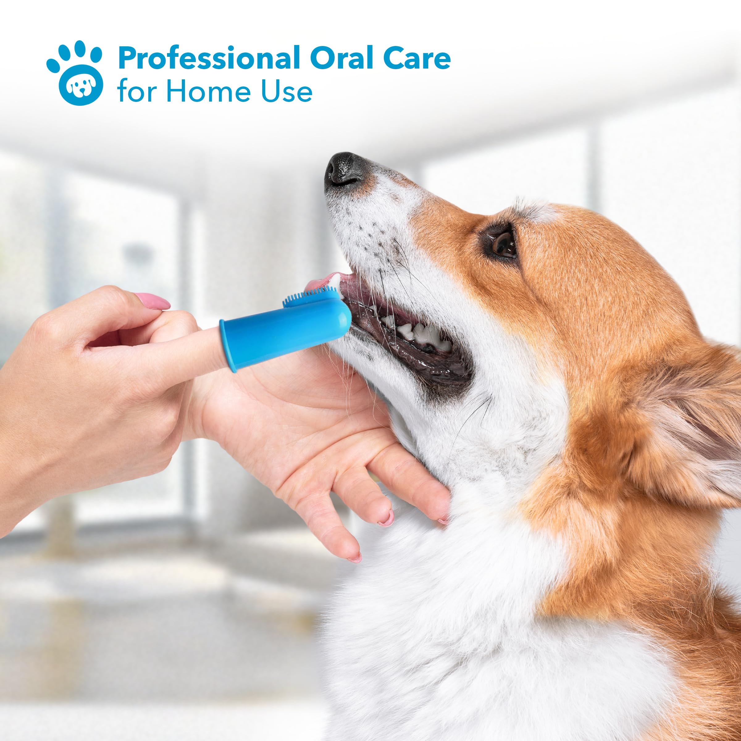 Boshel durable and safe dog toothbrush kit designed for long-lasting use.