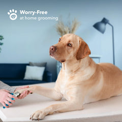 Boshel large dog nail clippers ergonomic handle offers non-slip control during grooming.