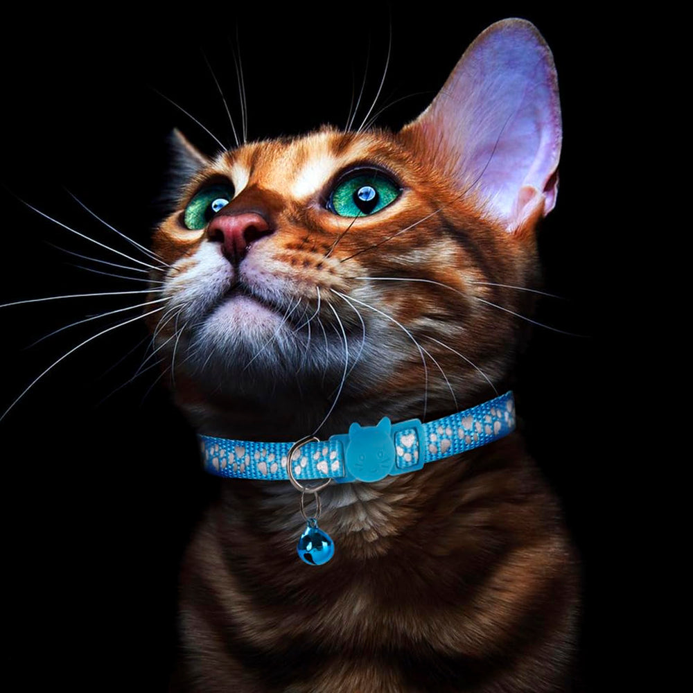 Bosose adjustable cat collar 7-12 inches, blue, for a comfortable fit.
