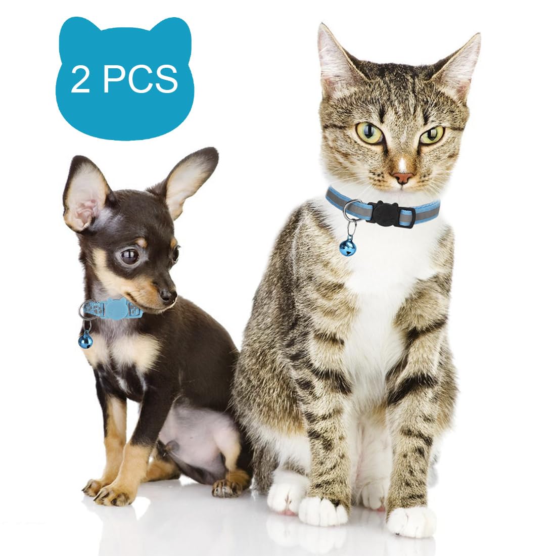 Bosose blue night-reflection cat collar improves visibility during evening walks.
