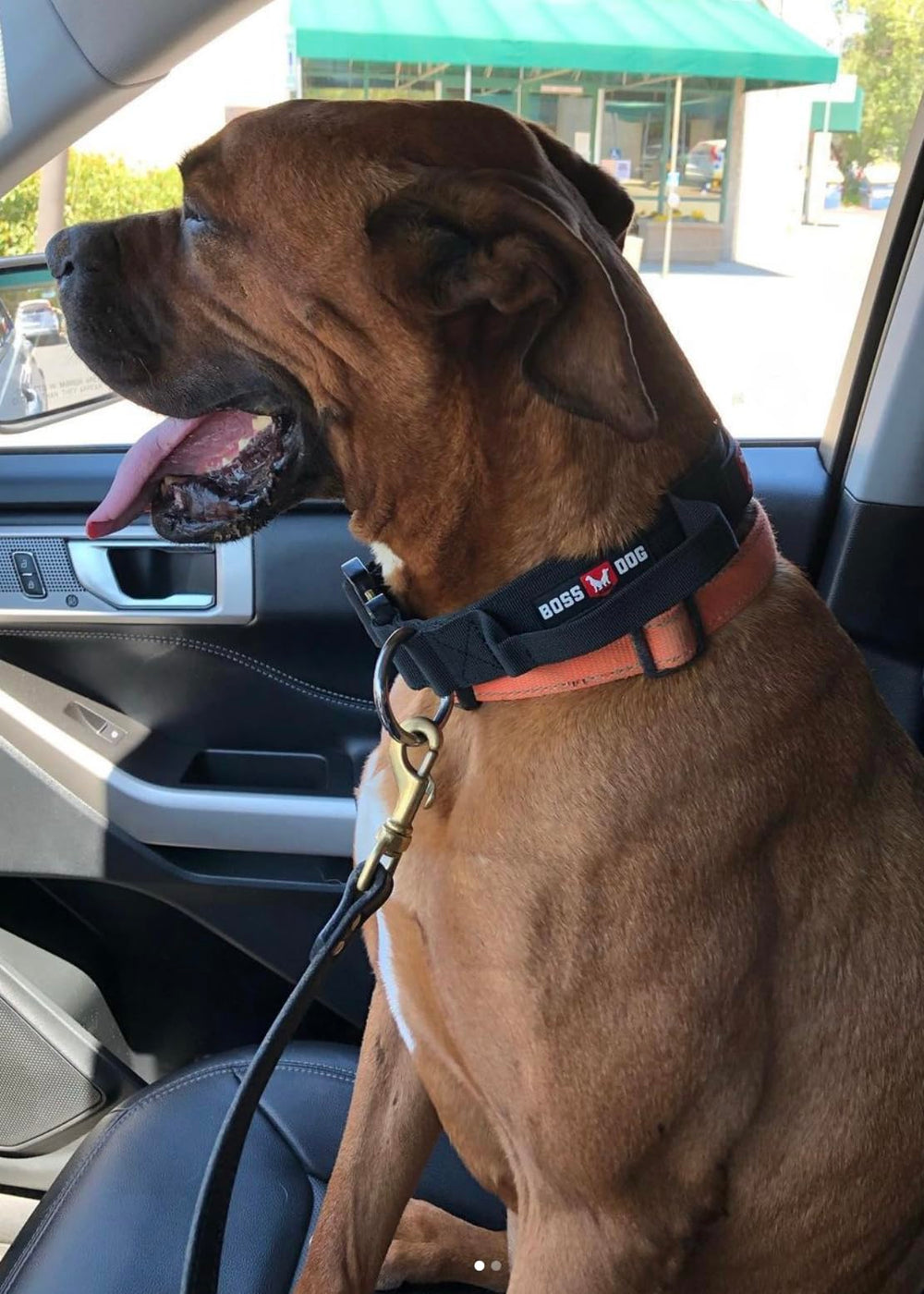Boss Dog tactical collar black XS adjustment detail enables secure fit.