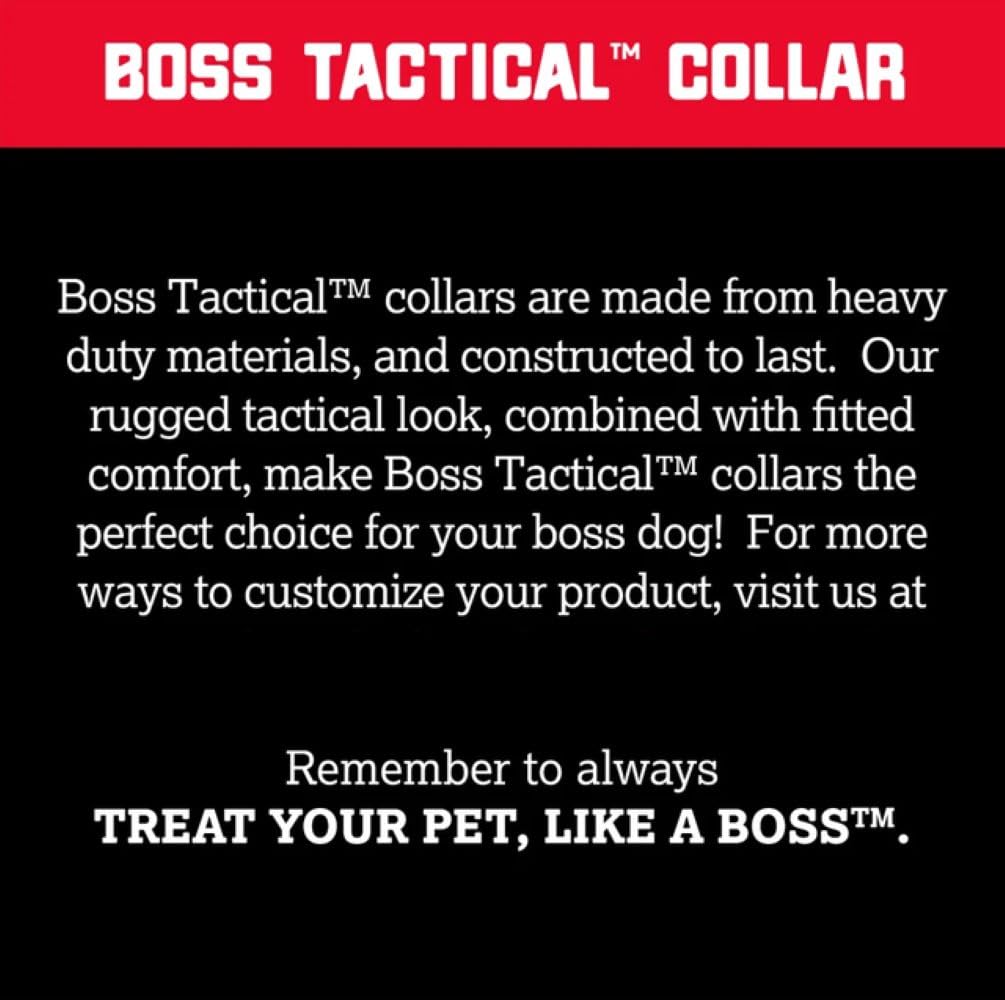 Boss Dog Tactical Collar Hunter Orange X-Large high visibility for enhanced outdoors safety.