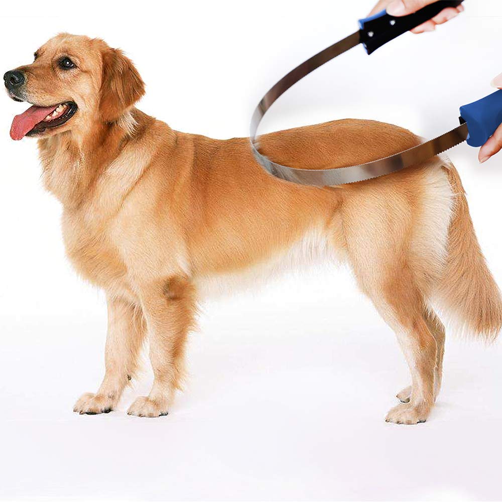 BOTH WINNERS at-home grooming setup for pet owners.