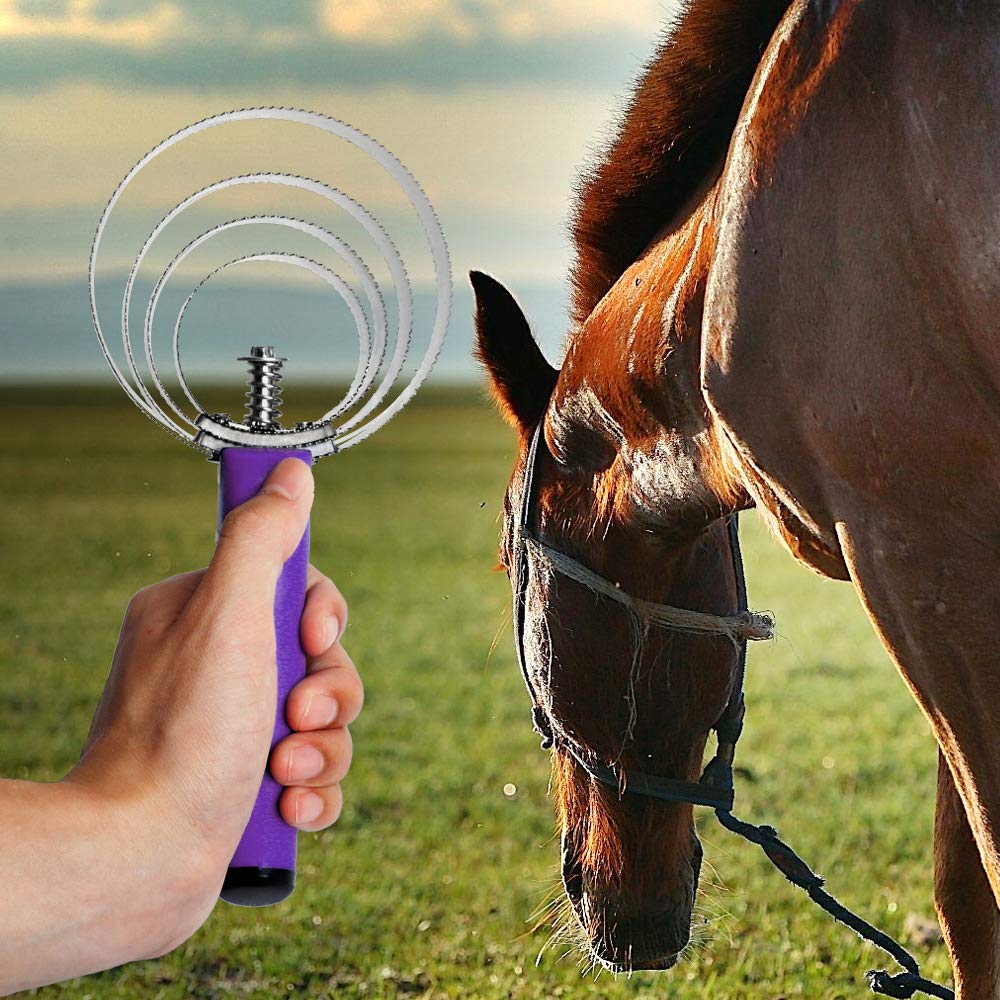 BOTH WINNERS shedding mud and loose hair on a horse coat using the curry comb.