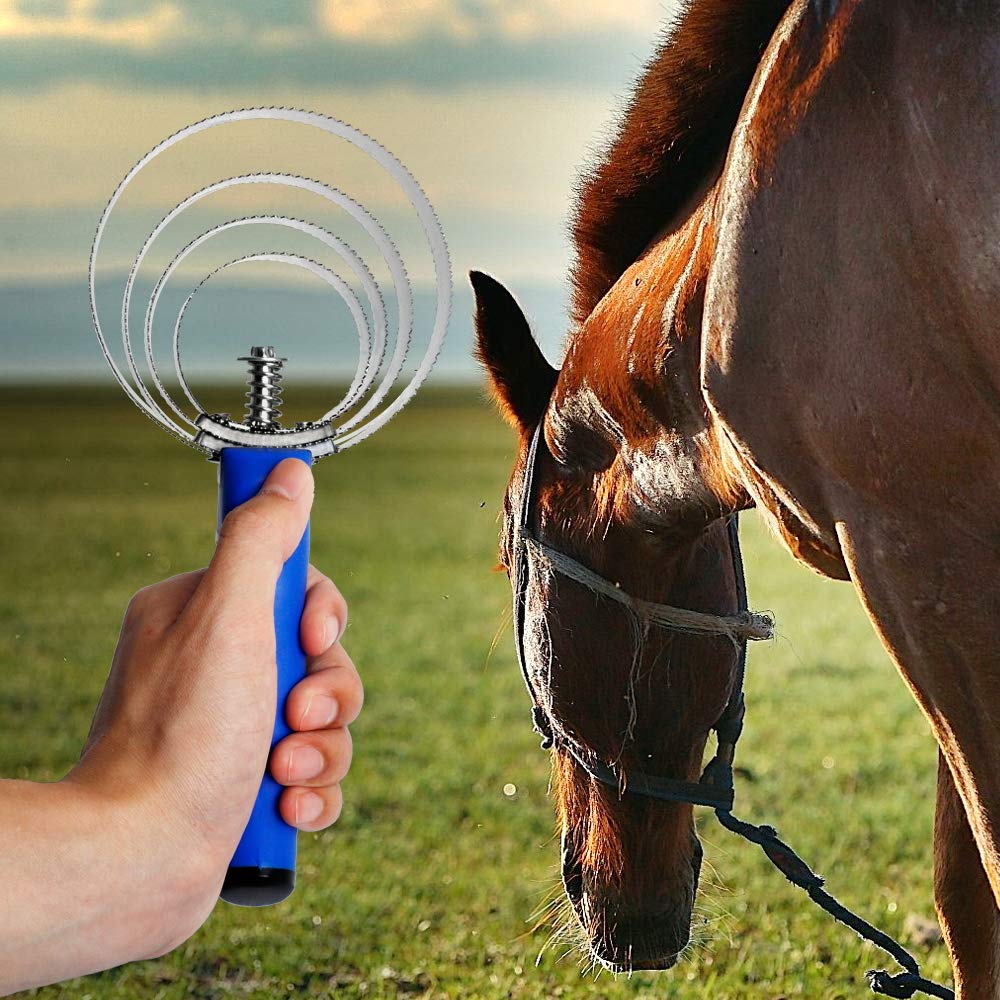 BOTH WINNERS durable teeth stay strong through repeated grooming sessions