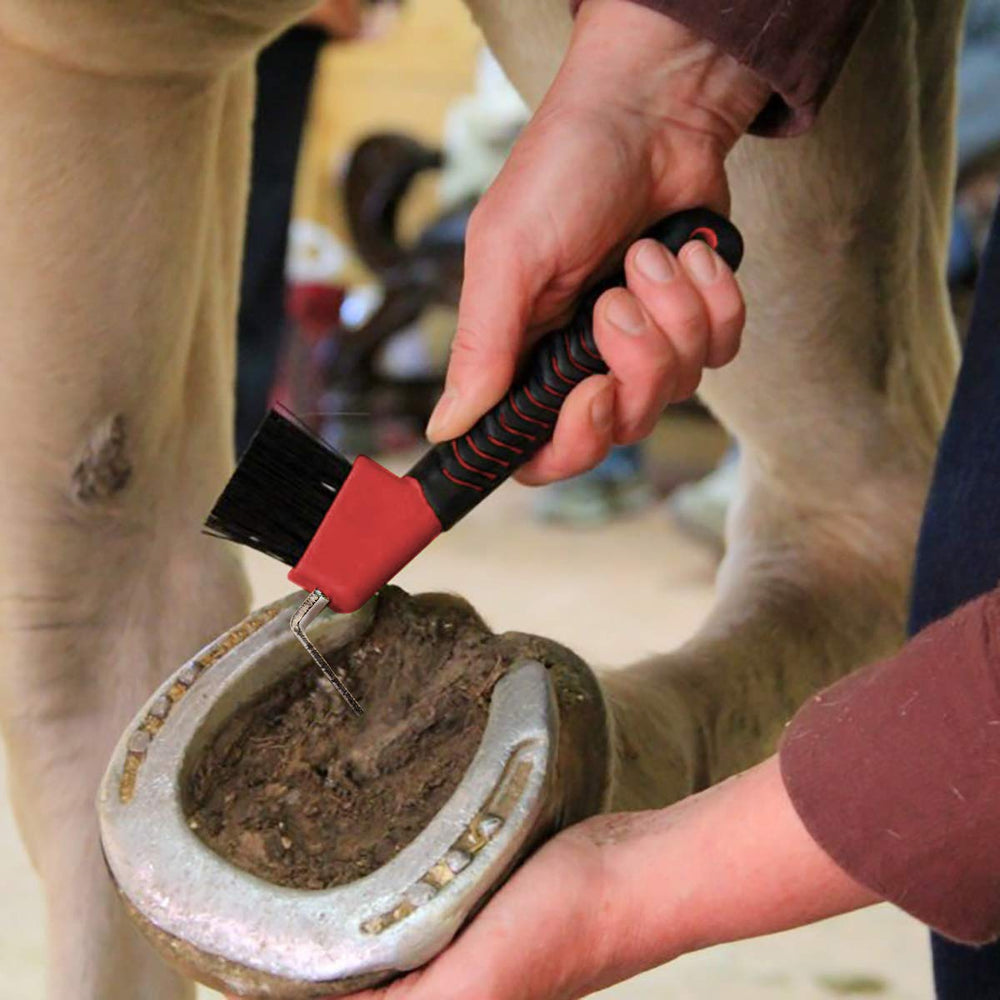 BOTH WINNERS steel-hook close-up emphasizes durable hook construction