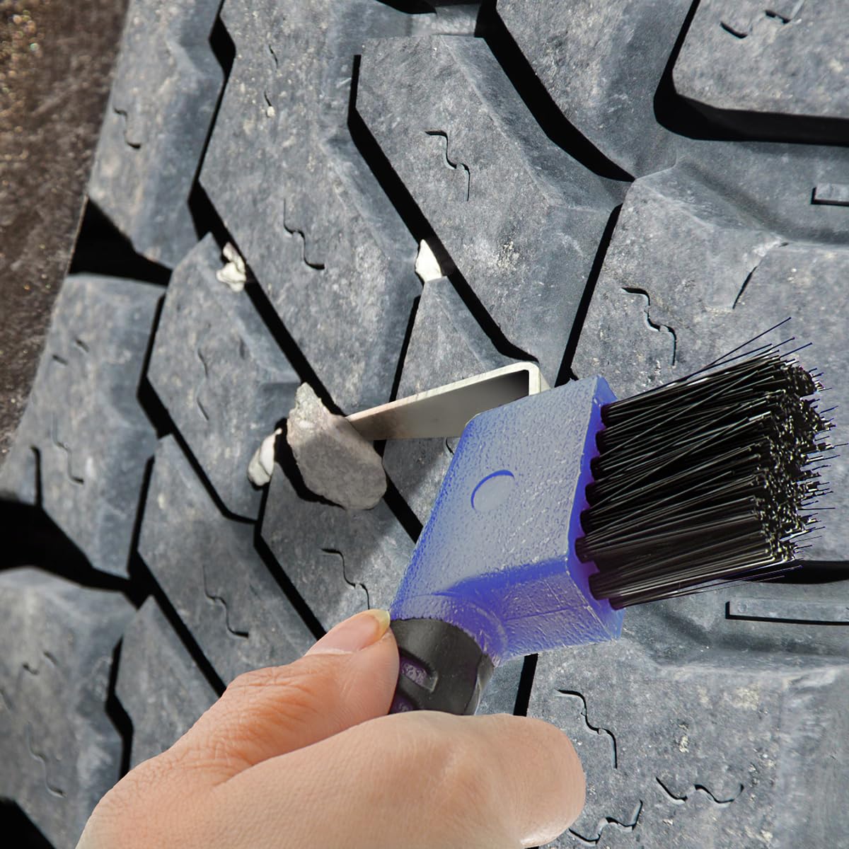 BOTH WINNERS royal blue hoof brush keeps hooves clean after rides.