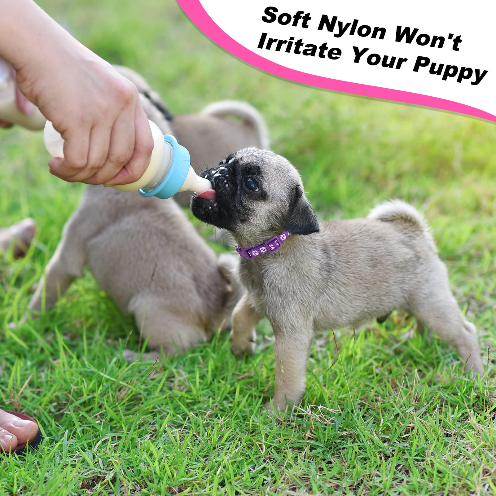 BOUMUSOE puppy collars color-variants aid quick puppy identification during playtime.