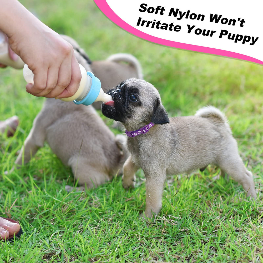 BOUMUSOE puppy collars color-variants aid quick puppy identification during playtime.
