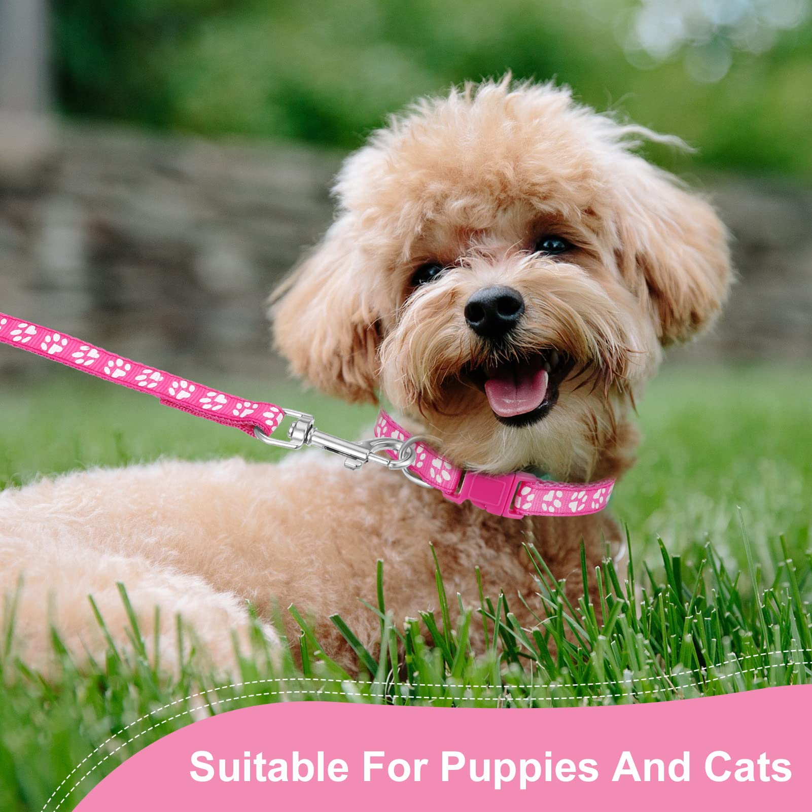 BOUMUSOE small-dog collar fits 19 to 30 cm necks with adjustable comfort.
