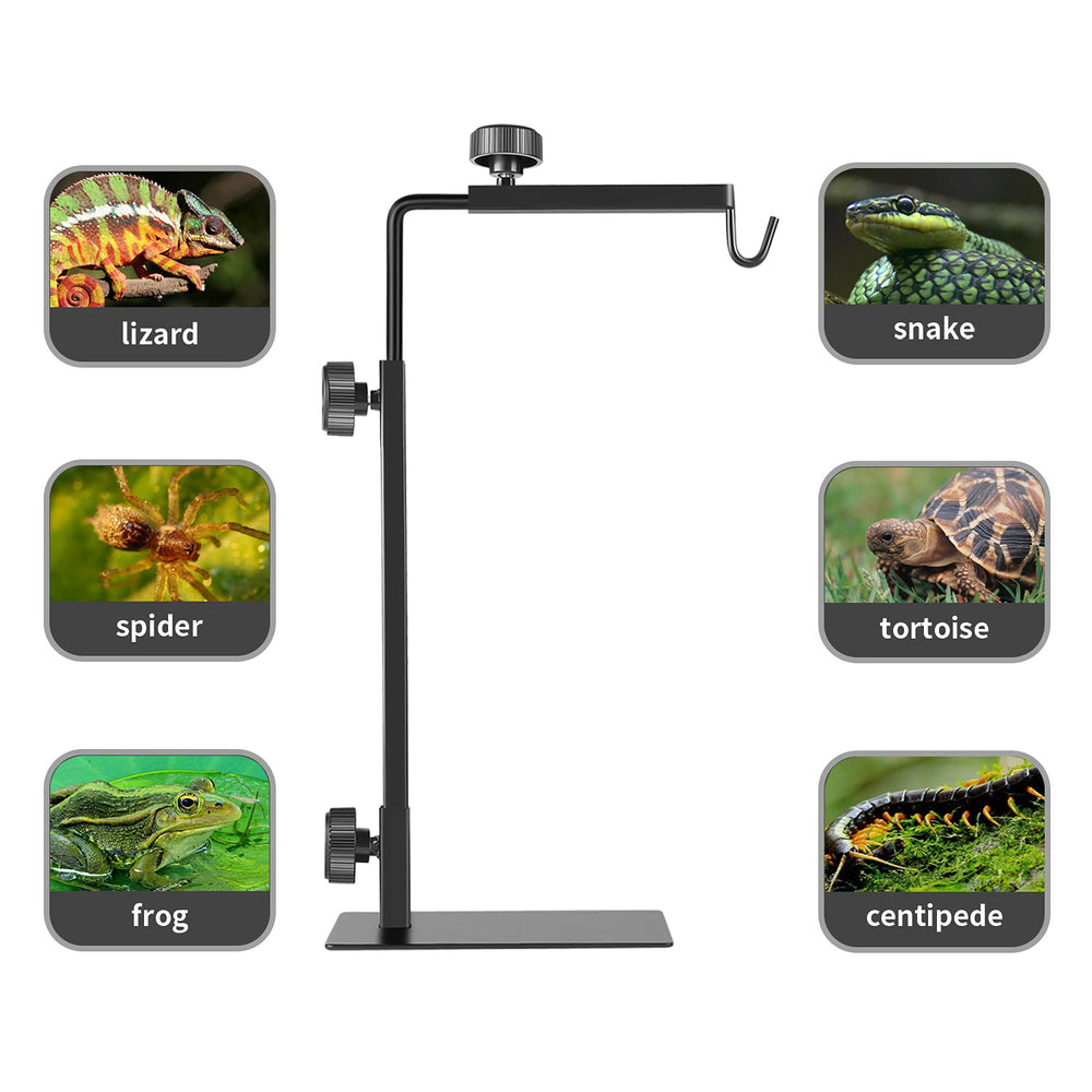 BOURDSERK Reptile Lamp Stand supports double lamps for flexible heating.