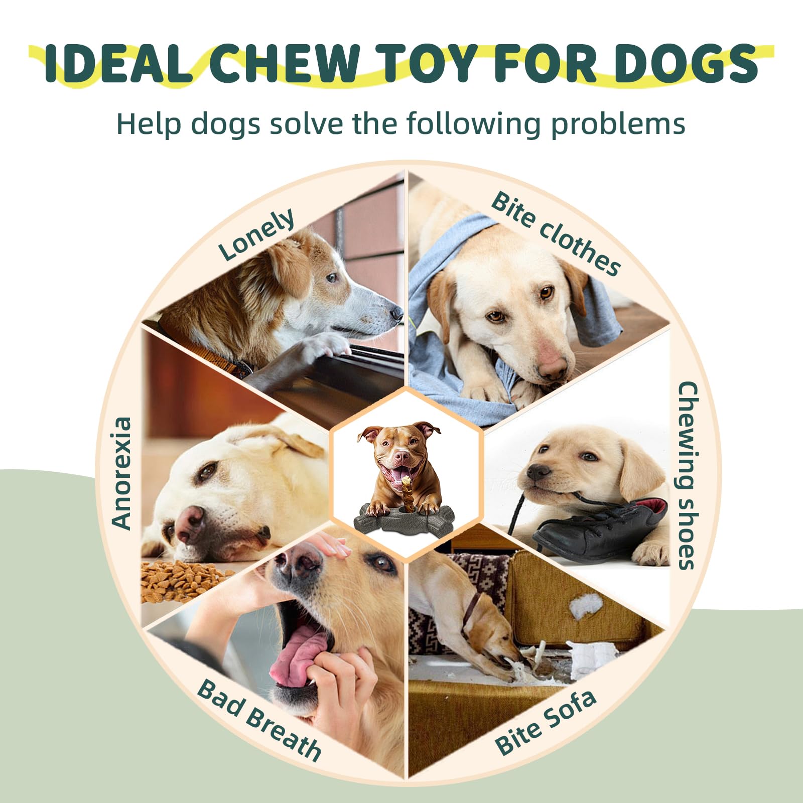 BOUSEPO keeps chew sticks in place during playtime for hygiene