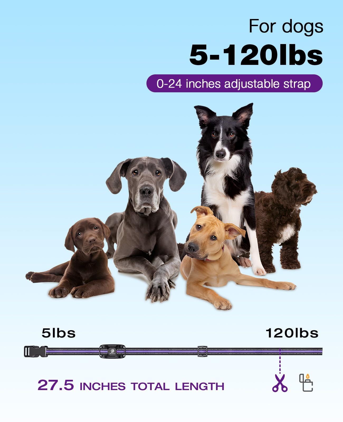 BOUSNIC collar supports training two dogs simultaneously outdoors.