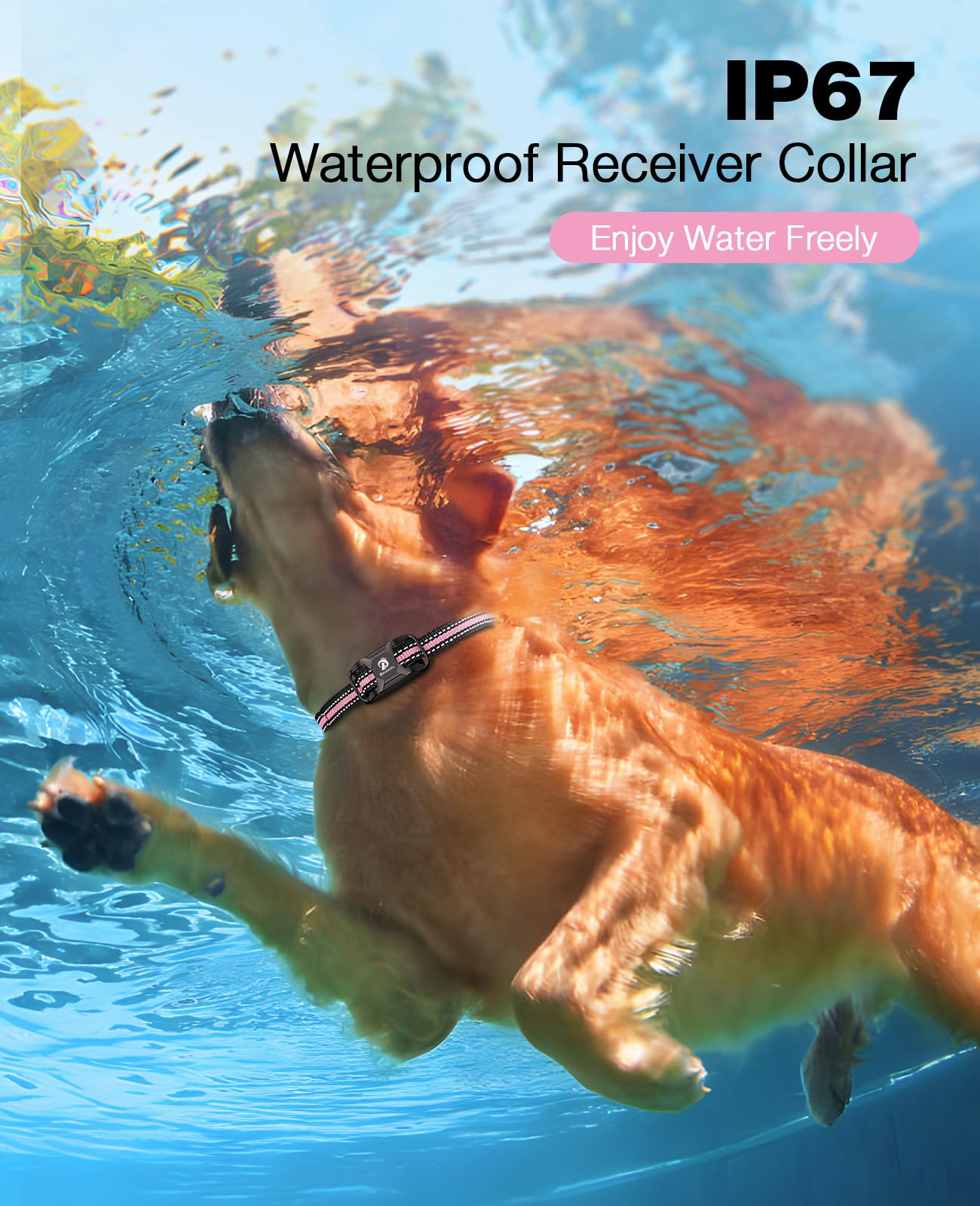 Bousnic collar demonstrates 3300ft range for outdoor training sessions.