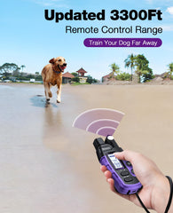 BOUSNIC dog collar with extended range supports outdoor training sessions.