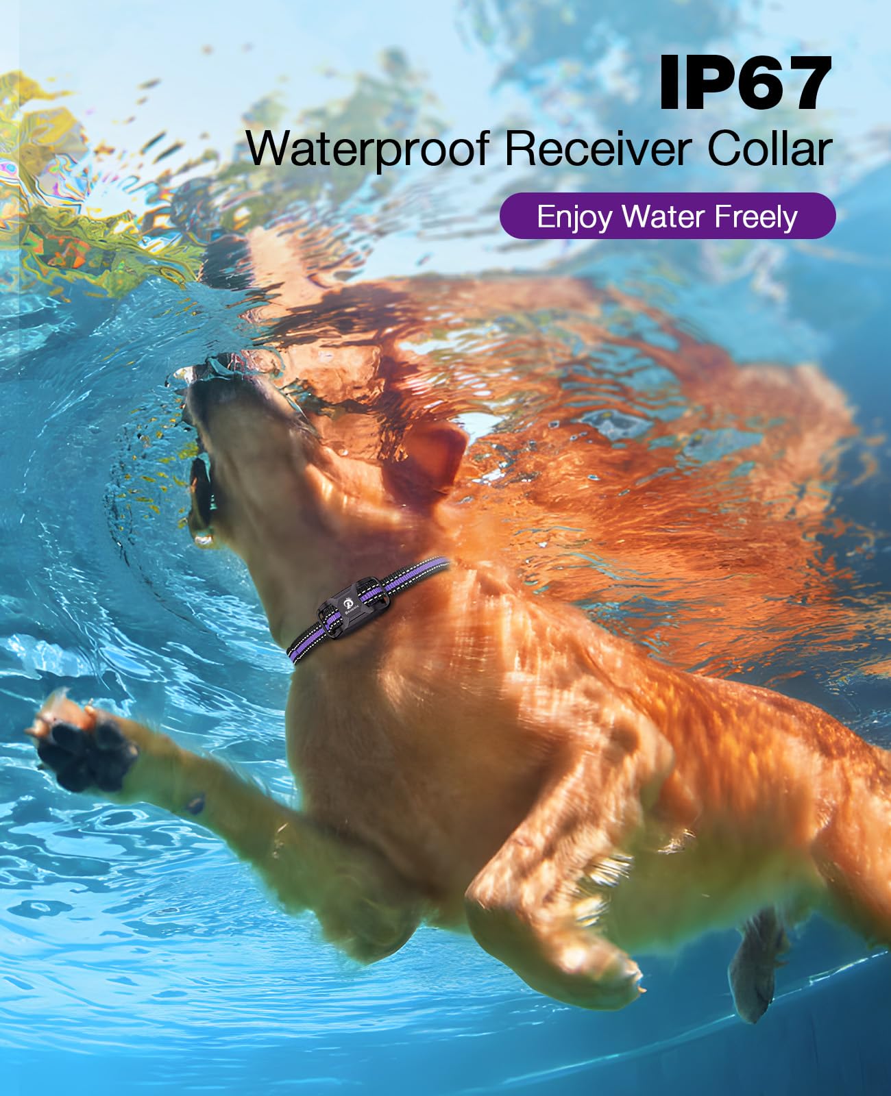 BOUSNIC IP67 waterproof receiver ensures reliable training in wet conditions.