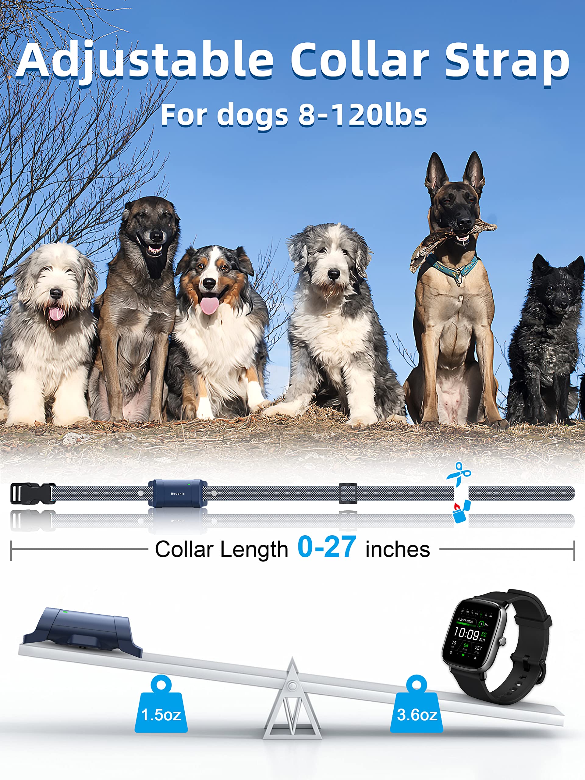 Bousnic dog wearing collar illustrates comfortable neck fit and everyday use.