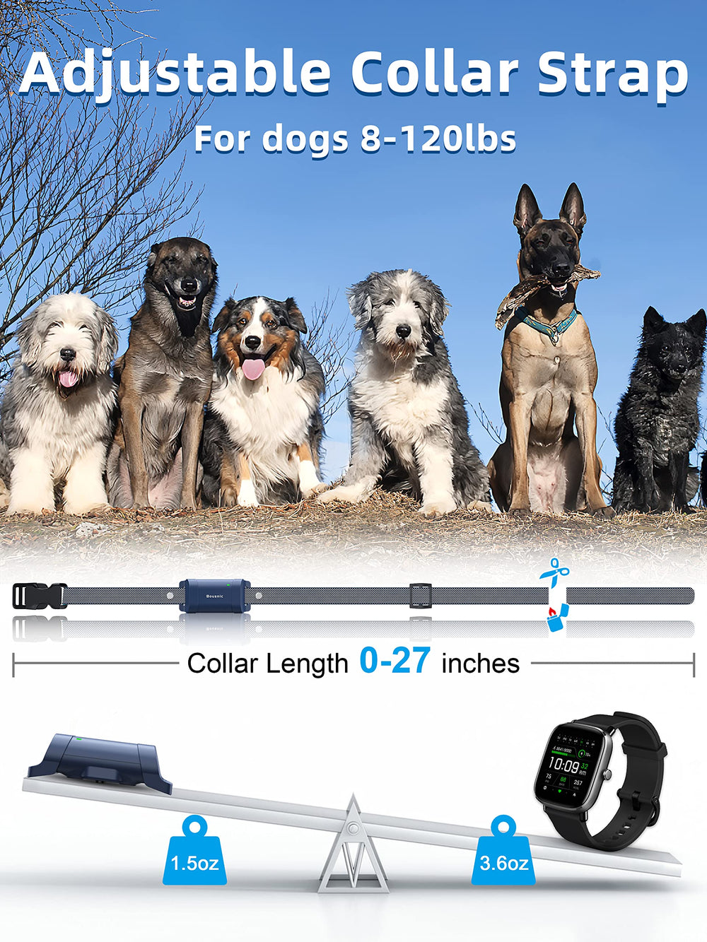 Bousnic dog wearing collar illustrates comfortable neck fit and everyday use.