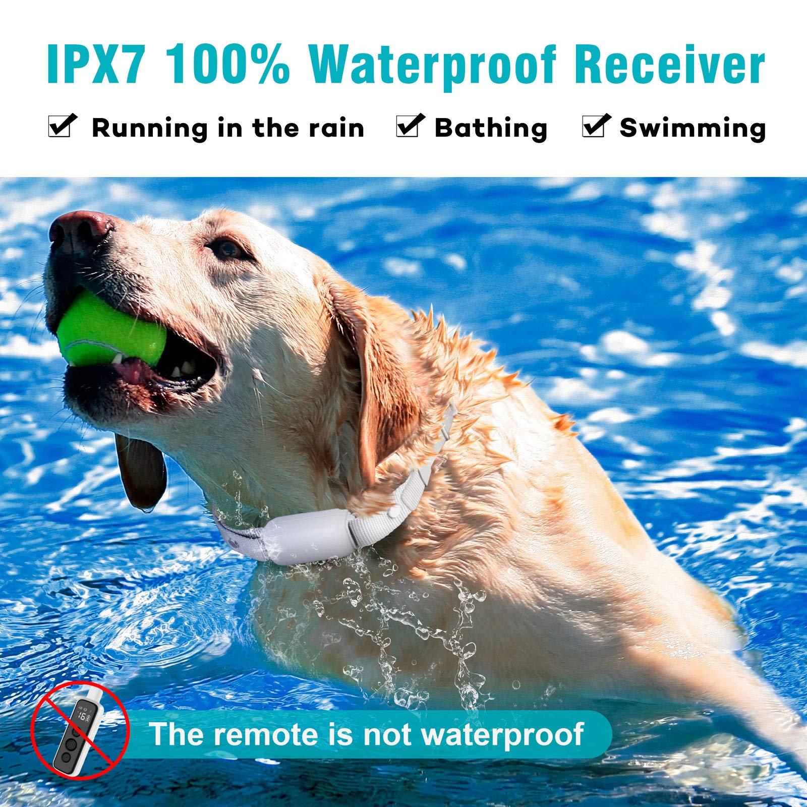 BOUSNIC lightweight receiver suitable for small to large dogs