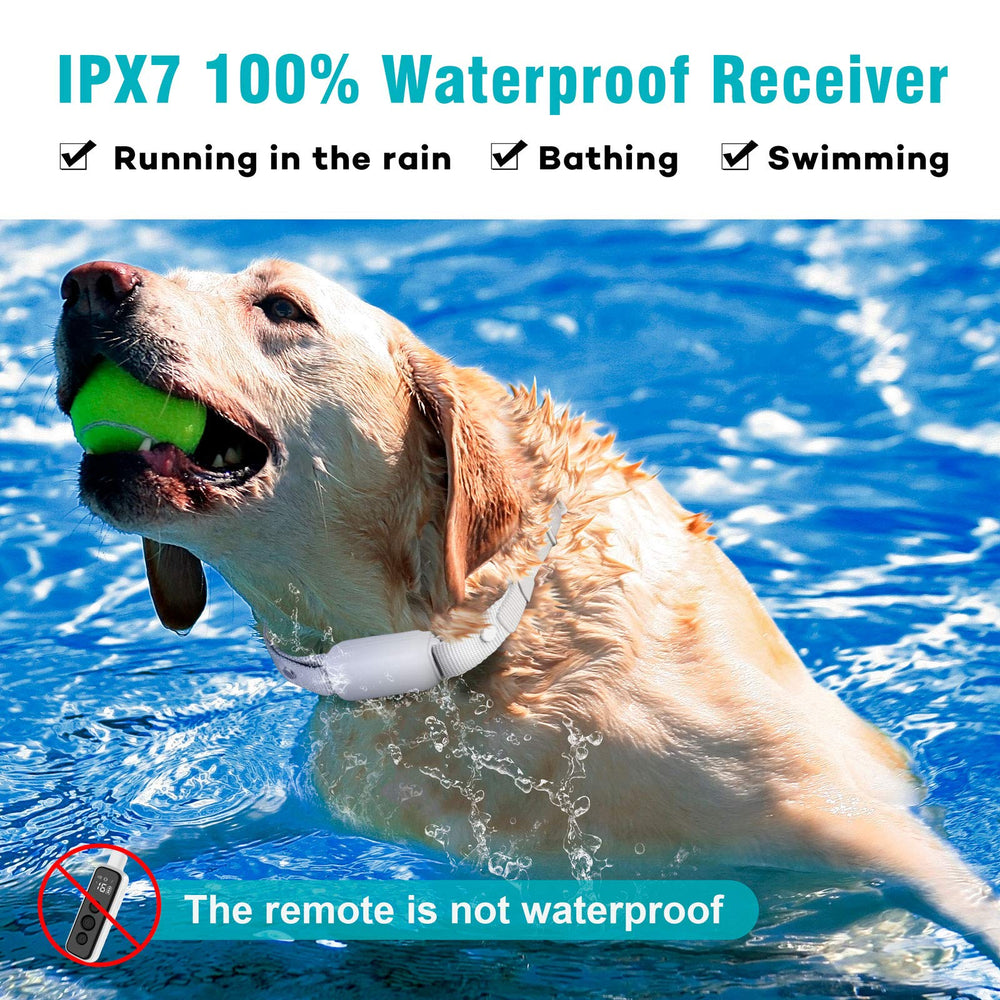 BOUSNIC lightweight receiver suitable for small to large dogs