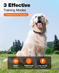 Bousnic remote control orange image shows range up to 3300 feet for outdoor training.