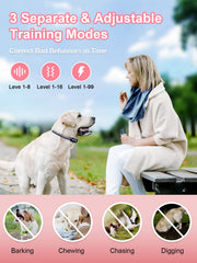 Bousnic waterproof receiver on a dog's neck for rain and swimming sessions.