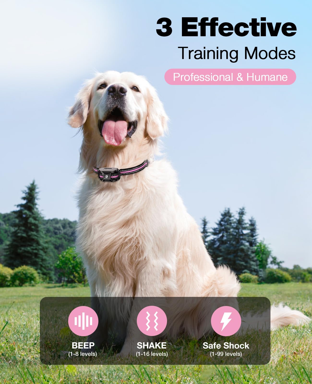 Bousnic training collar beep levels clearly labeled for guided training.