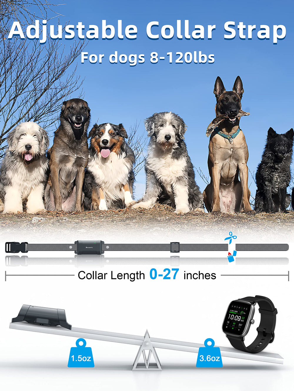 BOUSNIC usb-charging powers collar and remote quickly for daily use.