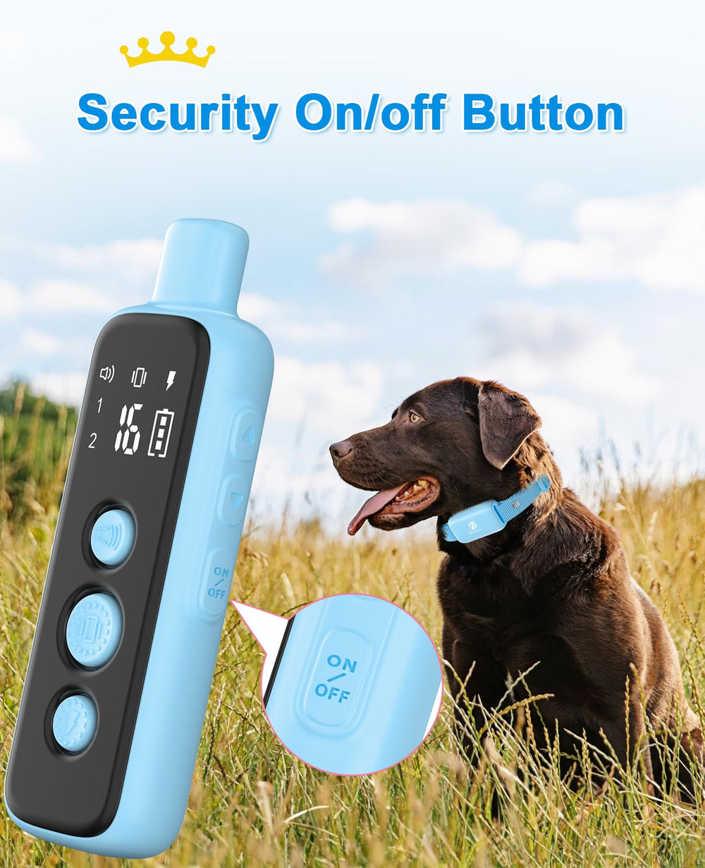 BOUSNIC dual-channel remote enables two-dog training sessions.