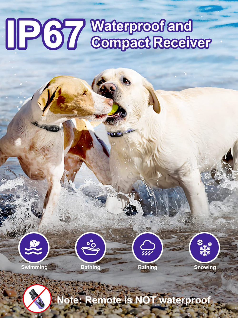 BOUSNIC dual-channel remote enables training two dogs at once.