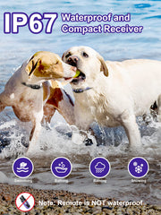 BOUSNIC dual-channel remote enables training two dogs at once.