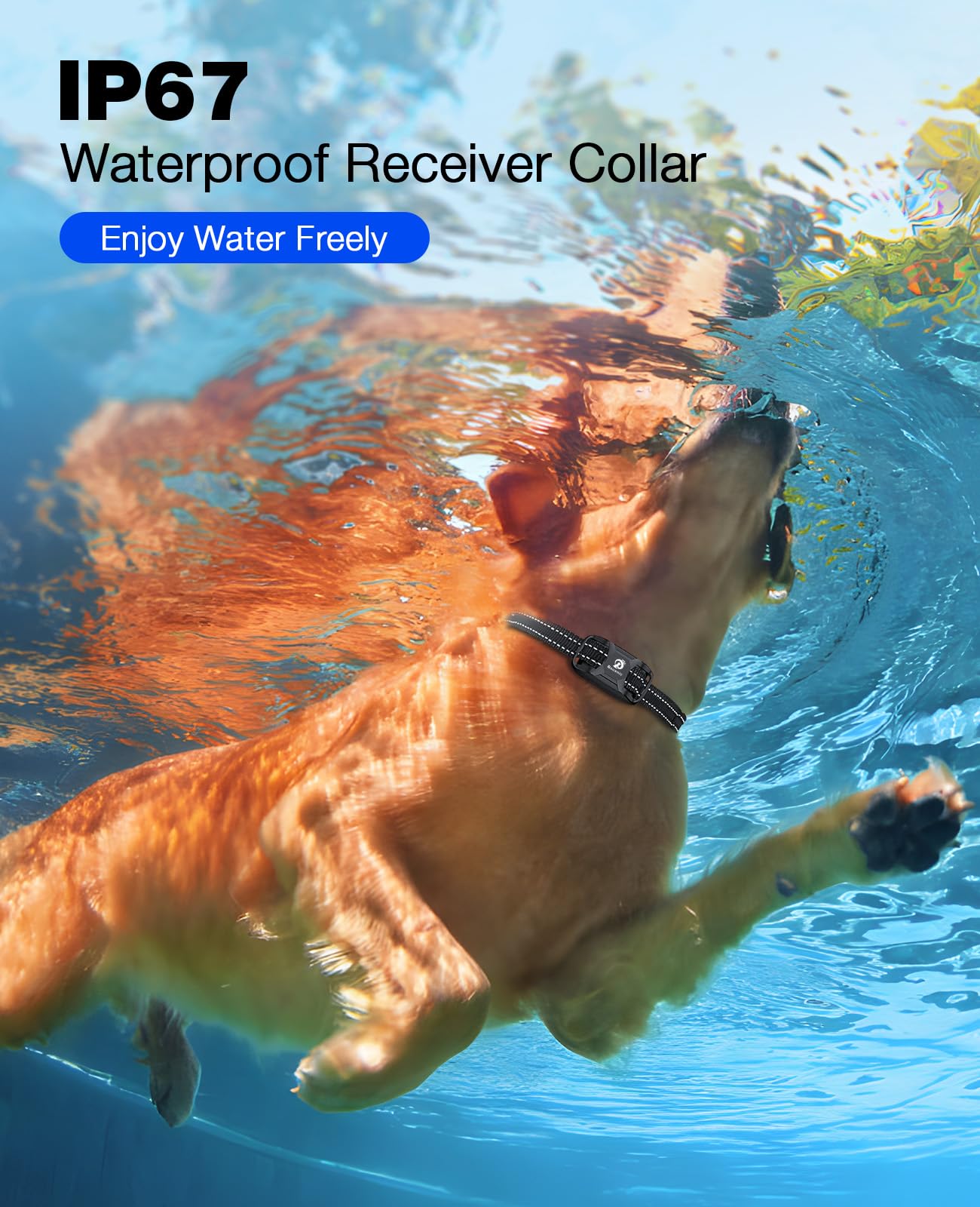 BOUSNIC dual-channel training lets two dogs practice simultaneously.