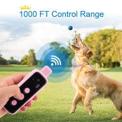 BOUSNIC IPX7 waterproof receiver ready for outdoor use.