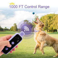 Bousnic rechargeable battery pack keeps training on the go